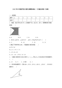 2022年中考数学复习微专题靶向练 勾股定理 专题