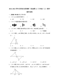 华师大版八年级上册1 命题课时作业