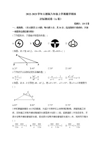 2022-2023学年人教版八年级上学期数学期末达标测试卷（A卷）