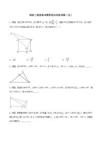 相似三角形基本模型综合培优训练（五）-九年级数学相似三角形基本模型探究（北师大版）