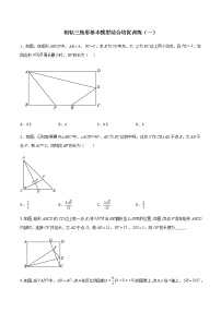 相似三角形基本模型综合培优训练（一）-九年级数学相似三角形基本模型探究（北师大版）