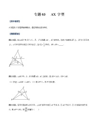 专题03 AX字型-九年级数学相似三角形基本模型探究（北师大版）