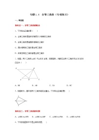 专题1.4 全等三角形（专项练习）-八年级数学上册基础知识专项讲练（苏科版）