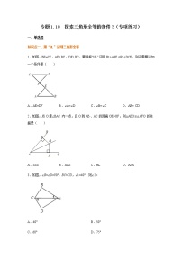 专题1.10 探索三角形全等的条件3（专项练习）-八年级数学上册基础知识专项讲练（苏科版）