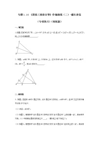 专题1.14 《探索三角形全等》作辅助线（二）-截长补短（专项练习）（培优篇）-八年级数学上册基础知识专项讲练（苏科版）