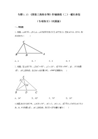 专题1.13 《探索三角形全等》作辅助线（二）-截长补短（专项练习）（巩固篇）-八年级数学上册基础知识专项讲练（苏科版）