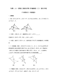 专题1.18 《探索三角形全等》作辅助线（三）-倍长中线（专项练习）（培优篇）-八年级数学上册基础知识专项讲练（苏科版）