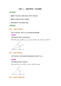 专题2.8 角的对称性（知识讲解）-八年级数学上册基础知识专项讲练（苏科版）