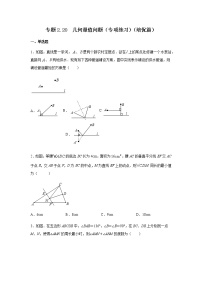 专题2.20 几何最值问题（专项练习）（培优篇）-八年级数学上册基础知识专项讲练（苏科版）