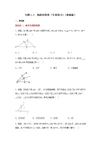 专题2.9 角的对称性（专项练习）（基础篇）-八年级数学上册基础知识专项讲练（苏科版）