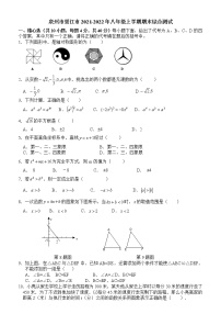 （华师版）泉州市晋江市2021-2022年八年级上学期期末综合测试（带答案）