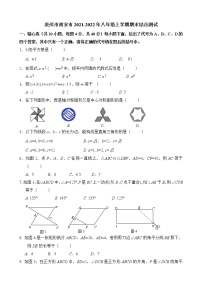 （华师版）泉州市南安市2021-2022年八年级上学期期末综合测试（带答案）