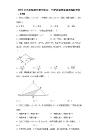 2023年九年级数学中考复习：二次函数的最值训练附答案