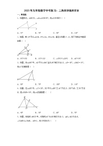 2023年九年级数学中考复习：三角形训练附答案