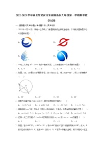 2022-2023学年湖北省武汉市东湖高新区人教版九年级（上）期中数学试卷(解析版)