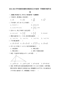 2022-2023学年湖南省衡阳市衡南县湘教版九年级（上）期中数学试卷(解析版)