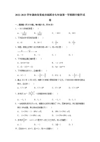 2022-2023学年湖南省娄底市涟源市湘教版七年级（上）期中数学试卷(解析版)