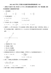 2022-2023学年上学期七年级数学期末模拟测试卷（03）