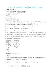 2022-2023学年七年级数学上学期期末【易错60题考点专练】