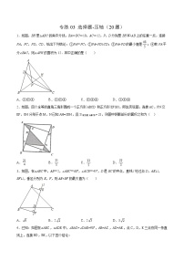 【期末考前必练】2022-2023学年北师大版数学八年级上册期末考点必刷题：专练03 选择题-压轴（20题）