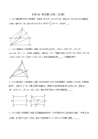 【期末考前必练】2022-2023学年北师大版数学八年级上册期末考点必刷题：专练06 填空题-压轴（20题）