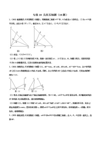 【期末考前必练】2022-2023学年人教版数学八年级上册期末考点必刷题：专练10 几何压轴题（10题）