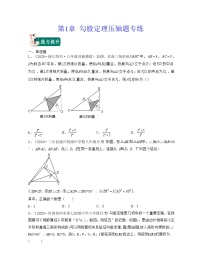 【期末·压轴题】北师大版数学八年级上册满分攻略：第1章 勾股定理（压轴题专练）