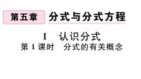 初中数学北师大版八年级下册1 认识分式习题ppt课件