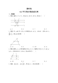 数学九年级上册2 平行线分线段成比例练习