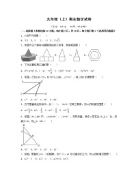 北师大版数学九上 期末数学试卷（含答案）