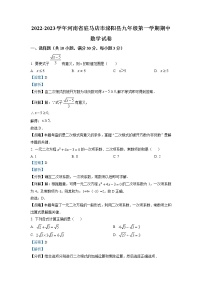 河南省驻马店市泌阳县2022-2023学年九年级上学期期中数学试题(含答案)