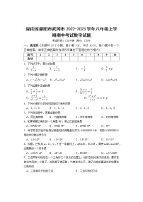 湖南省邵阳市武冈市2022-2023学年八年级上学期期中考试数学试题(含答案)