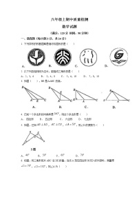 辽宁省鞍山市高新区2022-2023年学年上学期八年级期中数学试卷(含答案)