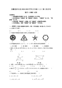 安徽省庐江县2022-2023学年八年级（上）第三次月考数学（人教版）试卷