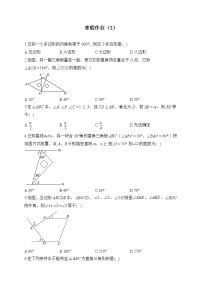 人教版八年级数学上册 寒假作业（2）