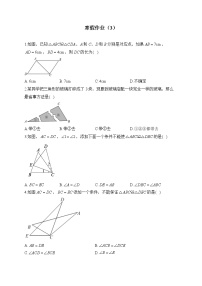 人教版八年级数学上册 寒假作业（3）