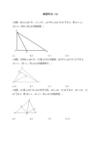 人教版八年级数学上册 寒假作业（4）