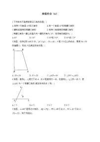 人教版八年级数学上册 寒假作业（6）