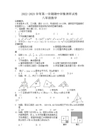 河南省周口市郸城县2022-2023学年八年级上学期期中学情检测+数学试题+