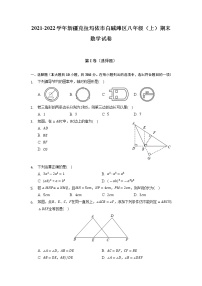 新疆克拉玛依市白碱滩区2021-2022学年八年级上学期期末数学试卷