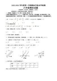 山东省青岛市崂山区2022-2023学年上学期八年级数学期末试题