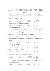 河南省洛宁县2023届九年级上学期学情测试（一）数学试卷(含答案)