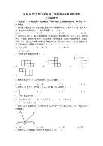 广东省深圳市龙岗区2022-2023学年七年级上学期期末考试数学试题(无答案)