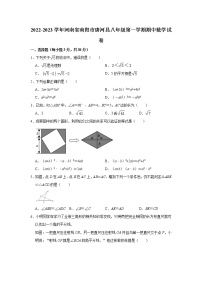 河南省南阳市唐河县2022-2023学年八年级上学期期中数学试卷(含答案)