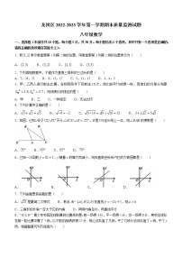 广东省深圳市龙岗区2022-2023学年八年级上学期期末考试数学试题(无答案)