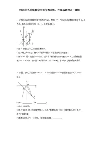 2023年九年级数学中考专题训练：二次函数综合压轴题(含答案)