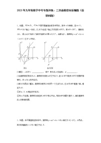 2023年九年级数学中考专题训练：二次函数综合压轴题（面积问题）及答案