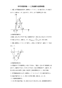 九年级数学中考专题训练——二次函数与面积问题