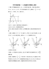 九年级数学中考专题训练——二次函数与特殊的三角形