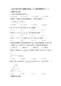 2022-2023学年人教版七年级上册数学寒假作业（一）